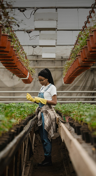 Emerging Regions, Rising Influence
